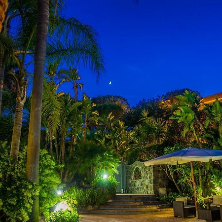 Villa Marylu' อีสเกีย ภายนอก รูปภาพ
